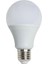 CT-4266 12W LED Ampul 6400K Beyaz Işık E27 Duy 1