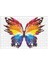 Butterfly Renkli Soyut Kelebek Puzzle 240 Parça Yapboz 1