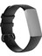 Puluz Fitbit Charge 4 Small Için Silikon Kordonlu Saat Siyah (Yurt Dışından) 1
