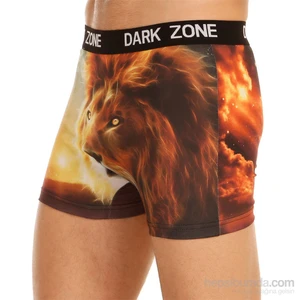 3D Boxer Aslan