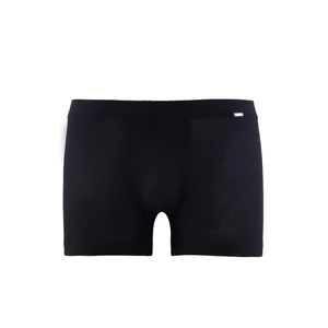 Boxer