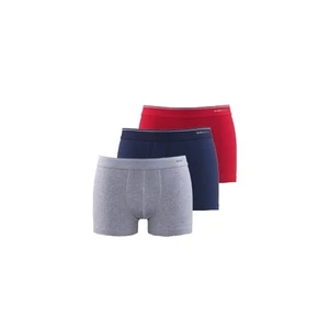 Erkek  3'lü  Boxer