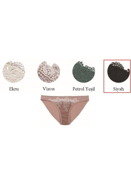 292 Brode Dantelli Geniş Kenarlı Normal Külot