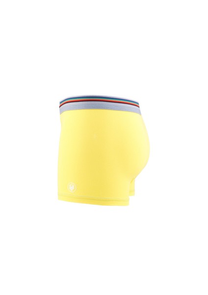 Erkek Sarı Tekli Boxer fiyatları
