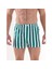 Loose Fit Erkek Boxer 9535 Beyaz-Yeşil 1