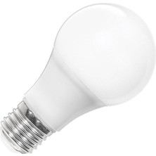 Ack AA13-01220 12W LED Ampul 3000K Günışığı E27 A60