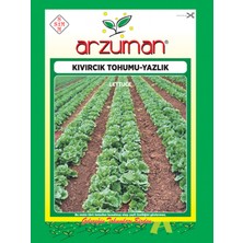 Arzuman Kıvırcık Marul Tohumu - Yazlık ( 7.000 Adet Tohum)
