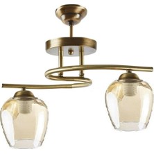 Fer Avize  Fuji Eskitme Kasa Bal Camlı Ikili Avize