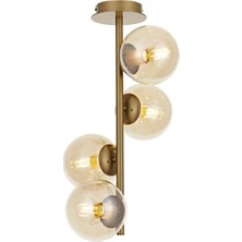 Fer Avize  Sarmaşık Özel Tasarım Modern Spor Bal Renkli Glop Camlı Eskitme Avize