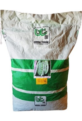 Bursa Tohum Bt Burayşe (Yassı Sırık) Fasulye Tohumu (1kg)