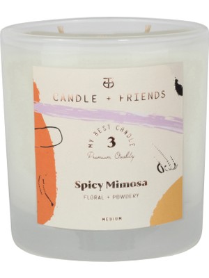 Candle And Friends No.3 Spicy Mimosa Medium Cam Mum 240GR.