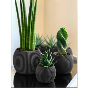 Temmuz Home 3 Lü Set Kaktüs Ve Çiçekler Için Dekoratif Ve Şık Karasu Mercan Saksı Seti Gri