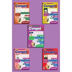 Gong Çengel Bulmaca 5'l Set