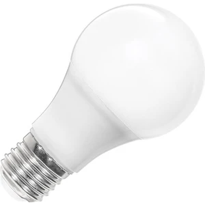AA13-01223 12W LED Ampul 6500K Beyaz E27 A60