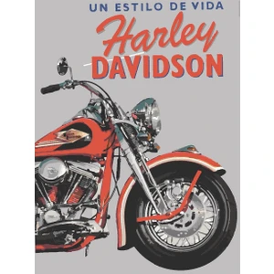 Womb Hobby Harley Sayılarla Boyama Seti 40X50 cm Tuvale Gerili