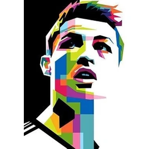 Womb Hobby Cr7 Sayılarla Boyama Seti 40X50 cm Tuvale Gerili