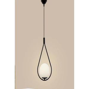 Fer Avize  Deco Özel Tasarım Modern Spor Glop Camlı Oval Siyah Tekli Avize