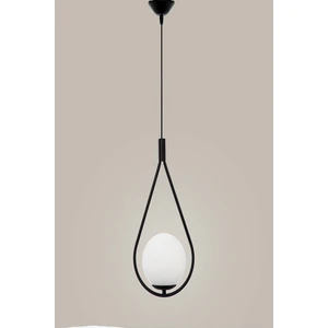 Fer Avize  Deco Özel Tasarım Modern Spor Glop Camlı Oval Siyah Tekli Avize