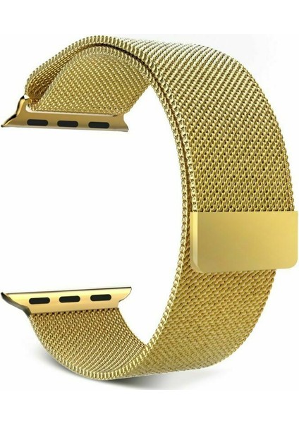 Apple Watch Uyumlu Seri 7 41 mm Çelik Kayış Hasır Örme Kordon Milano