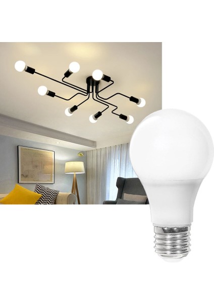 AA13-01223 12W LED Ampul 6500K Beyaz E27 A60