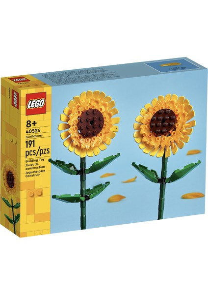 Sunflowers 40524 fiyatları