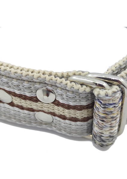 60 Hayvanlık Palaska Tipi Büyükbaş Numaratör Kayışı + Numaratör Seti fiyatları