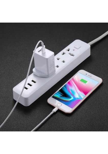 Usb-C / Type-C Erkek - 8 Pinli Hızlı Şarj Kablosu (Yurt Dışından) indirimleri