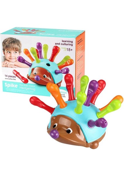 Küçük Çocukl Kirpi Eğitici Oyuncak 14 Parça (Yurt Dışından)