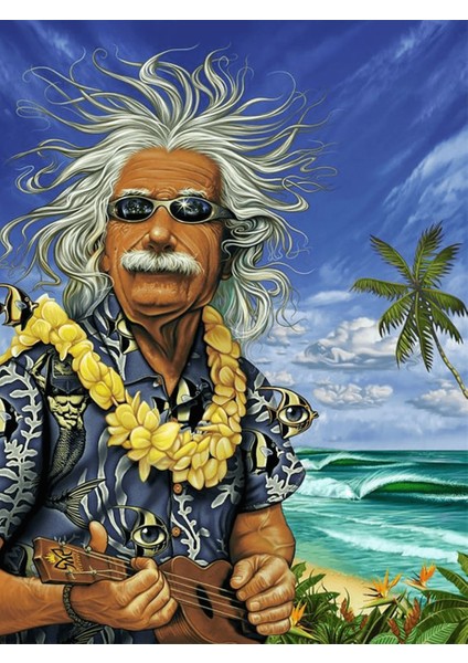 Çılgın Albert Sayılarla Boyama Seti 40X50 cm Tuvale Gerili