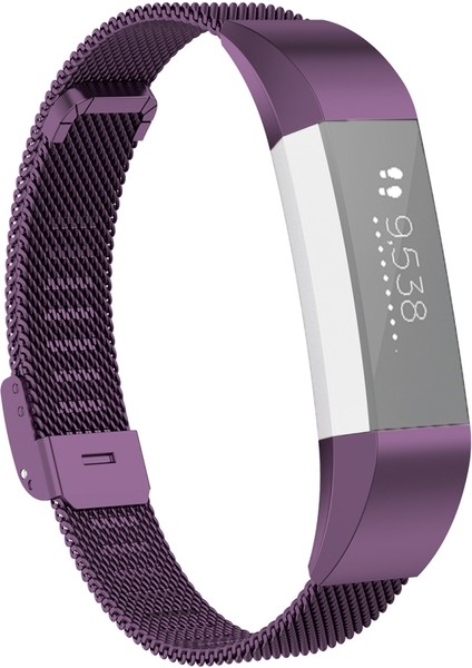puluz Fitbit Için Saat Kayışı Mor (Yurt Dışından)