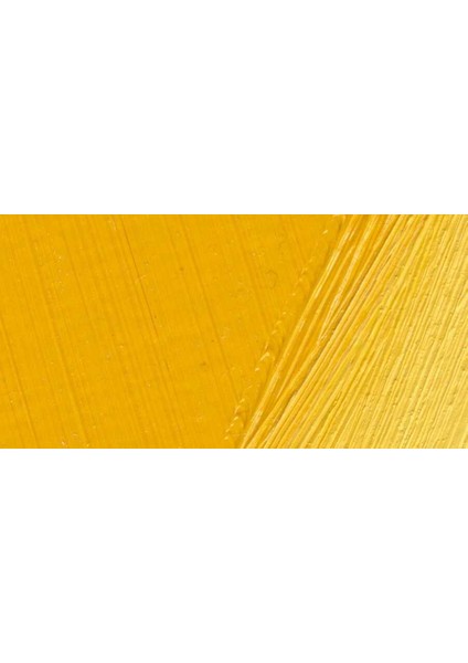 Terzia Yağlı Boya 0559 Hint Sarısı 200ML