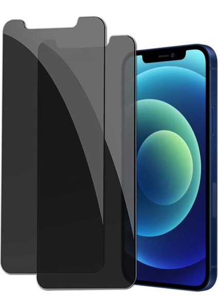 Apple iPhone 12 Pro Max Full-Screen Privacy Görünmez Mat Hayalet Ekran Koruyucu Cam
