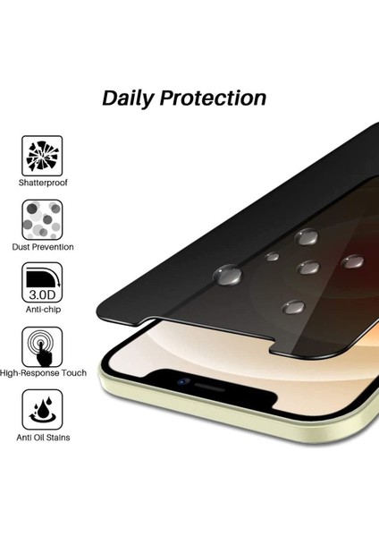 Apple iPhone 12 Pro Max Full-Screen Privacy Görünmez Mat Hayalet Ekran Koruyucu Cam