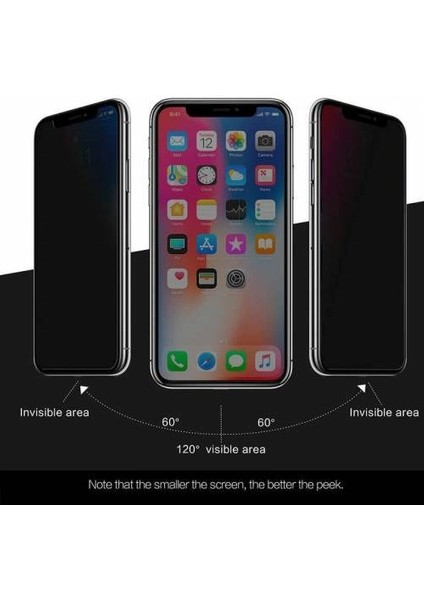 Apple iPhone 12 Pro Max Full-Screen Privacy Görünmez Mat Hayalet Ekran Koruyucu Cam
