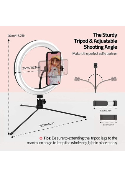 ZJ27 10 Inç Masaüstü Halkası Işık Tripod Desteği ile Bluetooth LED Dolgu Işık (Yurt Dışından)