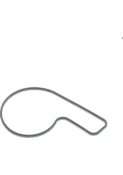 Pulsar NS200 Su Pompa Kapak O-Ringi