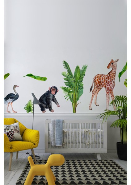 Safari Hayvanları Maymun Zürafa ve Deve Kuşu Duvar Sticker