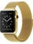 Apple Watch Uyumlu Seri 7 41 mm Çelik Kayış Hasır Örme Kordon Milano 1