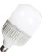 AA13-05023 50W LED Ampul 6400K Beyaz E27 T135 1