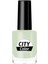 Color Naıl Lacquer No:85 1