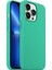 Buff Apple iPhone 13 Pro Rubber S Kılıf Cornflower Su Yeşili 1