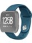 Puluz Fitbit Versa 2 / Puluz Fitbit Versa / Puluz Fitbit Versa Lite Silikon Saat Kayışı Mavi (Yurt Dışından) 1