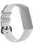puluz Fitbit Charge 4 Silikon Saat Kayışı Beyaz (Yurt Dışından) 1