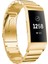 puluz Fitbit Charge 4 Için Paslanmaz Tokalı Saat Kayışı Altın (Yurt Dışından) 1