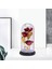 LED Işık Hediyeler ile Cam Kubbe Içinde Güzellik ve Canavar Gül Çiçek Kız Kırmızı 2