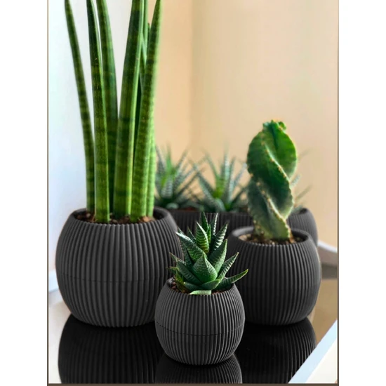 Temmuz Home 3 Lü Set Kaktüs Ve Çiçekler Için Dekoratif Ve Şık Karasu Mercan Saksı Seti Gri