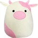  Renk Pembe