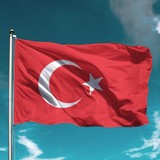Türk Bayrağı 30X45 cm Alpaka Kumaş