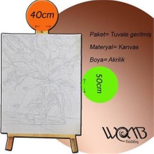 Womb Hobby Sarkmış Kedi Sayılarla Boyama Seti 40X50 cm Tuvale Gerili