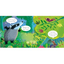 Play Hide And Seek With Fox Usborne